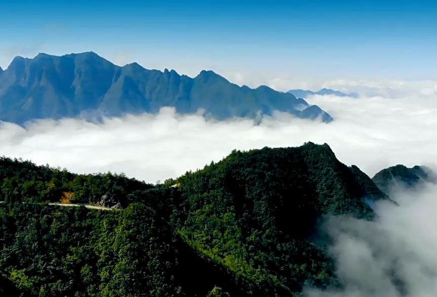 000: The Cosmic Gateway to Inner Alchemy & New Beginnings