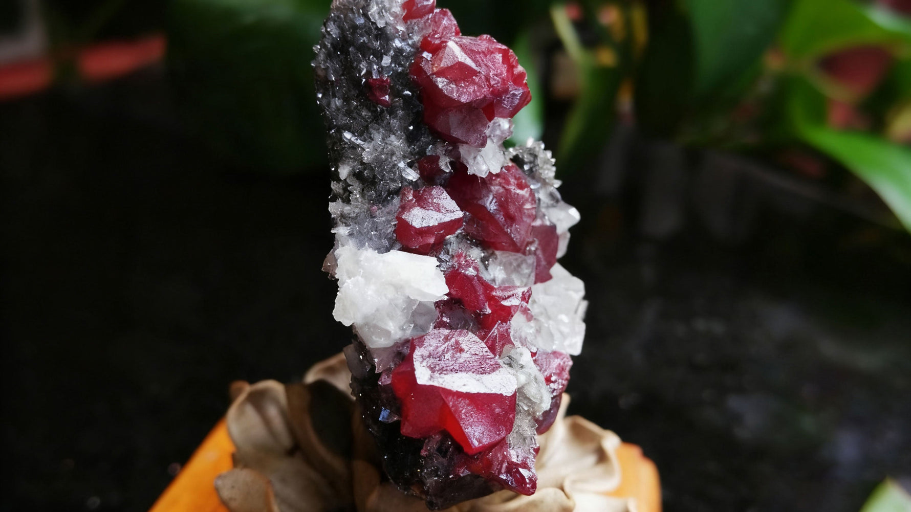 Cinnabar: The Complete Cinnabar Meaning Explanation